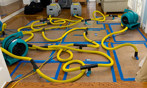 Professional Basement Flood Cleanup technician working in Milford, IN